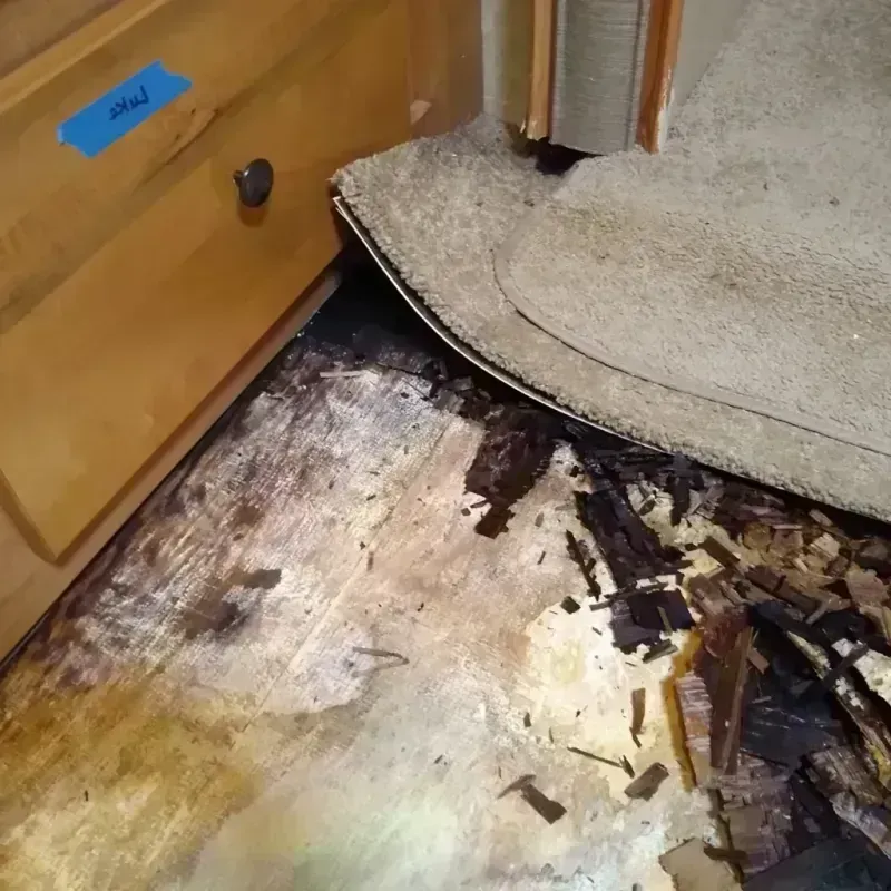 Wood Floor Water Damage in Mayer, MN